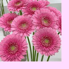 Схема вышивки «№2082964»