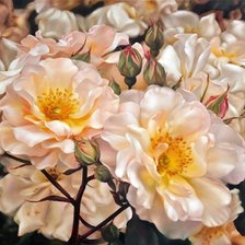 Схема вышивки «цветы»