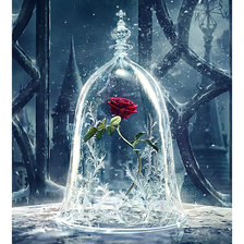 Схема вышивки «Роза.»