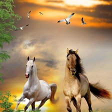 Схема вышивки «лошади»