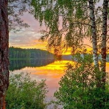 Схема вышивки «природа»