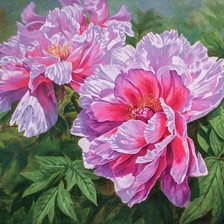 Схема вышивки «цветы»