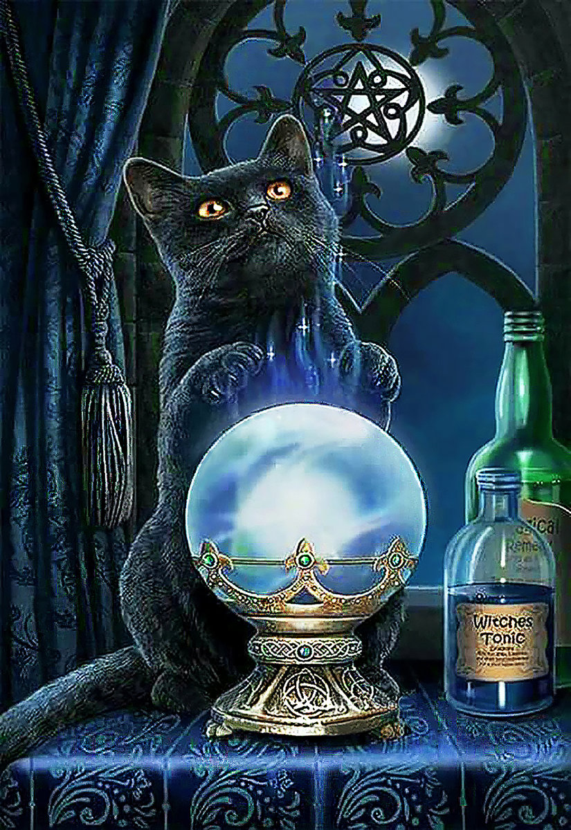 Predictor Cat - lisa parker - оригинал