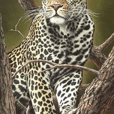 Схема вышивки «№2084467»