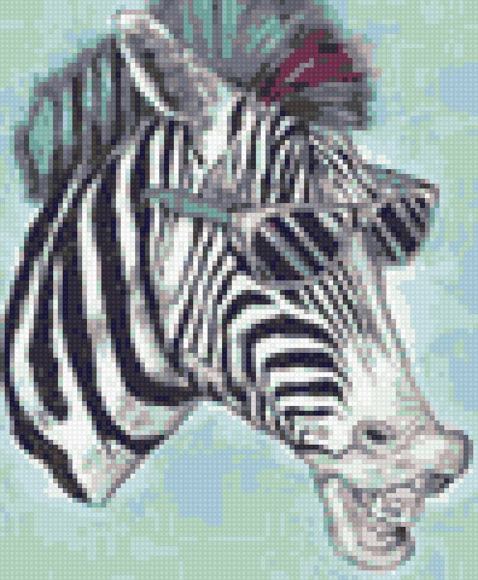 Зебра юмор - яркая, зебра, юмор - предпросмотр