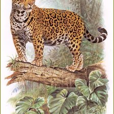 Схема вышивки «леопард»
