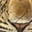 Предпросмотр схемы вышивки «леопард» (№2085633)