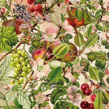 Схема вышивки «№2085688»