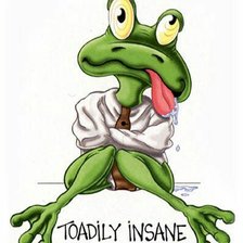 Схема вышивки «Лягушонок»