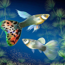 Схема вышивки «№2086085»