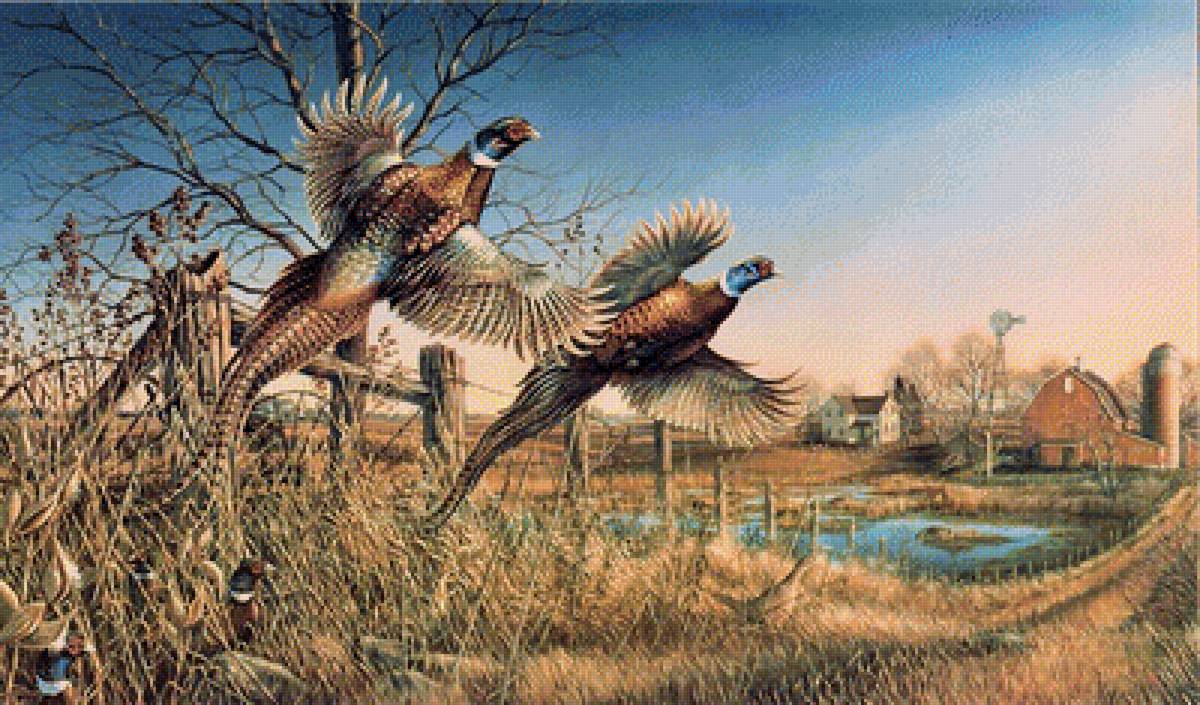 №2086089 - предпросмотр