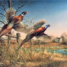 Схема вышивки «№2086089»