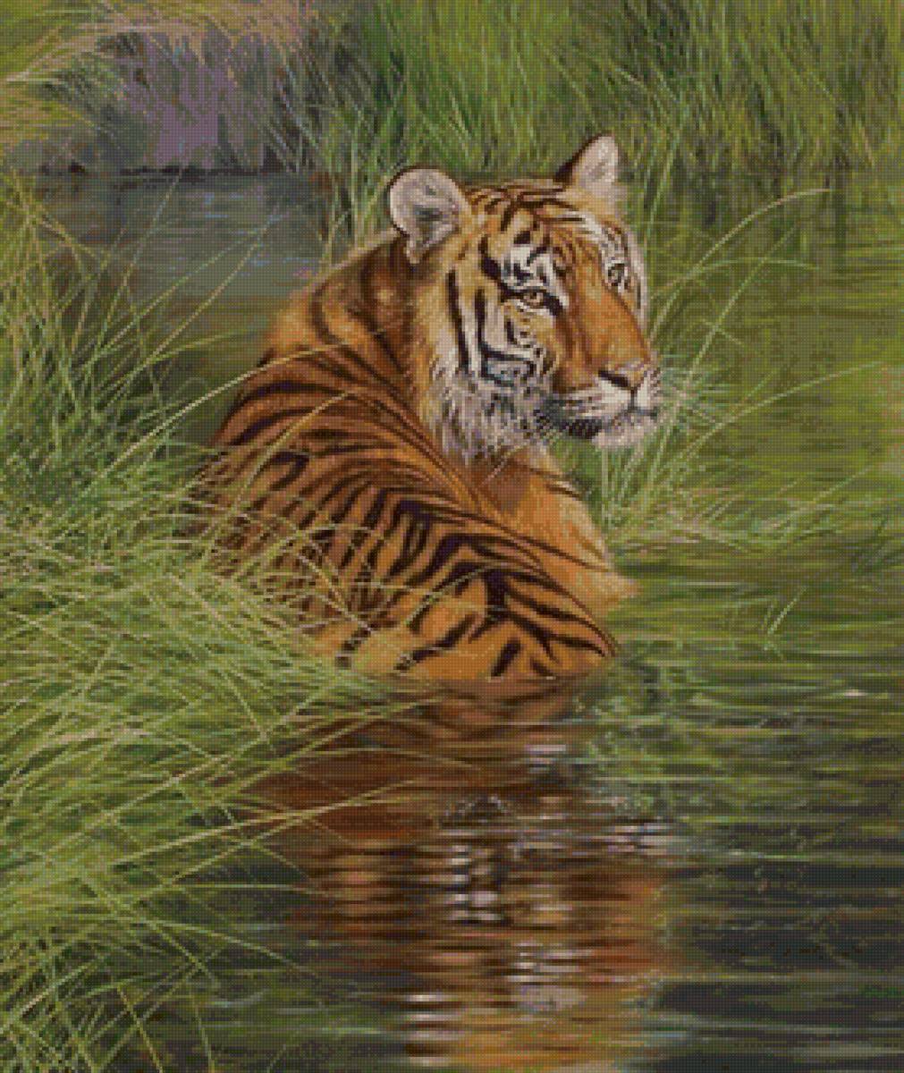 дикие - предпросмотр