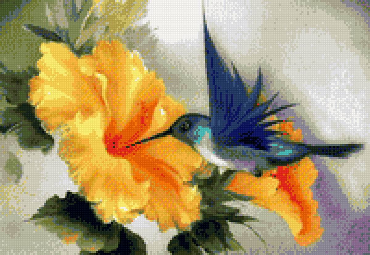 Колибри на гибискусе - птицы, цветы - предпросмотр