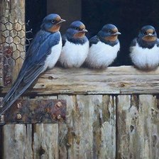 Схема вышивки «ласточки»