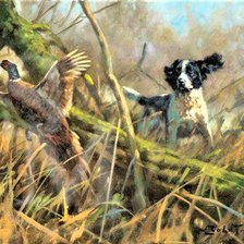 Схема вышивки «№2087319»