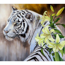 Схема вышивки «Белый тигр.»