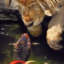 Схема вышивки «Щенок»