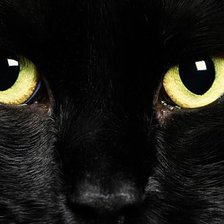 Схема вышивки «в поле зрения»