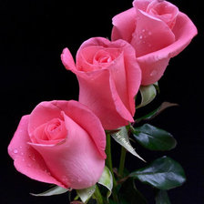 Поздравляю!