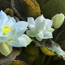 Схема вышивки «Белые лотосы2»