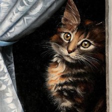 Схема вышивки «Кот»