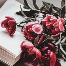 Схема вышивки «Цветы»