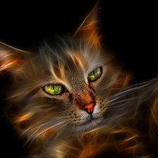 Схема вышивки «электрический кот»