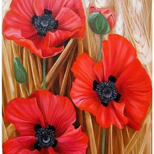 Схема вышивки «маки»