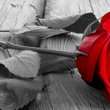 Схема вышивки «поссорились....»