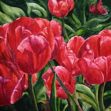 Схема вышивки «Тюльпаны красные»