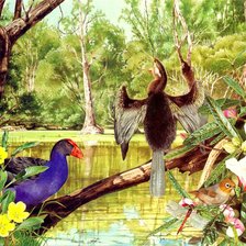 Схема вышивки «Птицы»