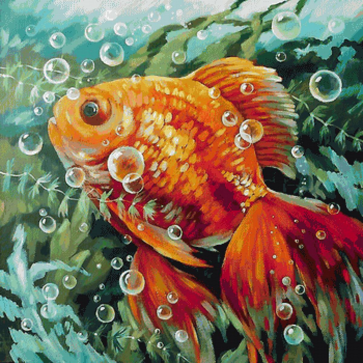 золотая рыбка - предпросмотр