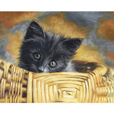 Схема вышивки «Кот.»