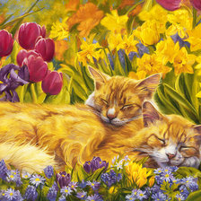 Схема вышивки «Коты.»