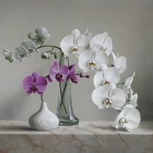 Схема вышивки «Орхидеи»