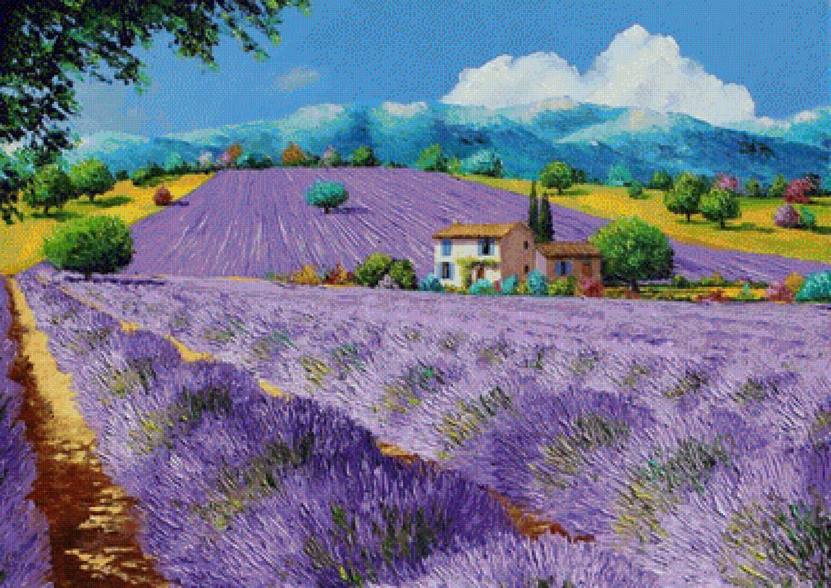 Лавандовые поля 2 - поле, лаванда, пейзаж - предпросмотр