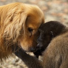 Схема вышивки «любовь»