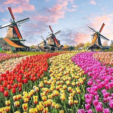 Схема вышивки «№2091170»