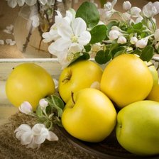 Схема вышивки «фрукты»