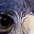 Предпросмотр схемы вышивки «в полете» (№2091456)