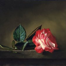 Натюрморт 18. Алексей Антонов