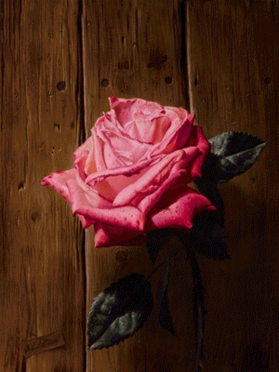 Натюрморт 21. Алексей Антонов - роза, живопись, натюрморт - предпросмотр