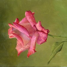 Схема вышивки «Натюрморт 24. Алексей Антонов»