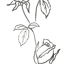 Схема вышивки «Розы. На джинсы»