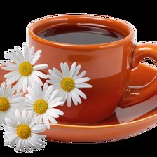 летний привет