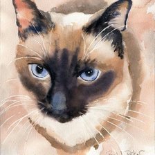 Схема вышивки «Сима»