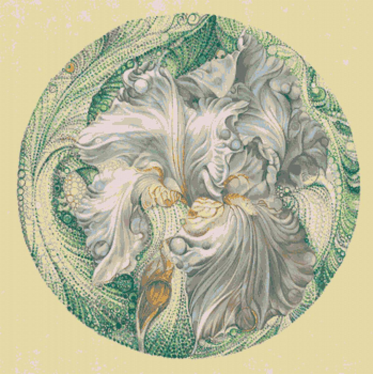 ирис - акварель, цветы, рисунок, ирис - предпросмотр