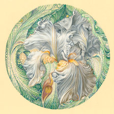 Схема вышивки «ирис»