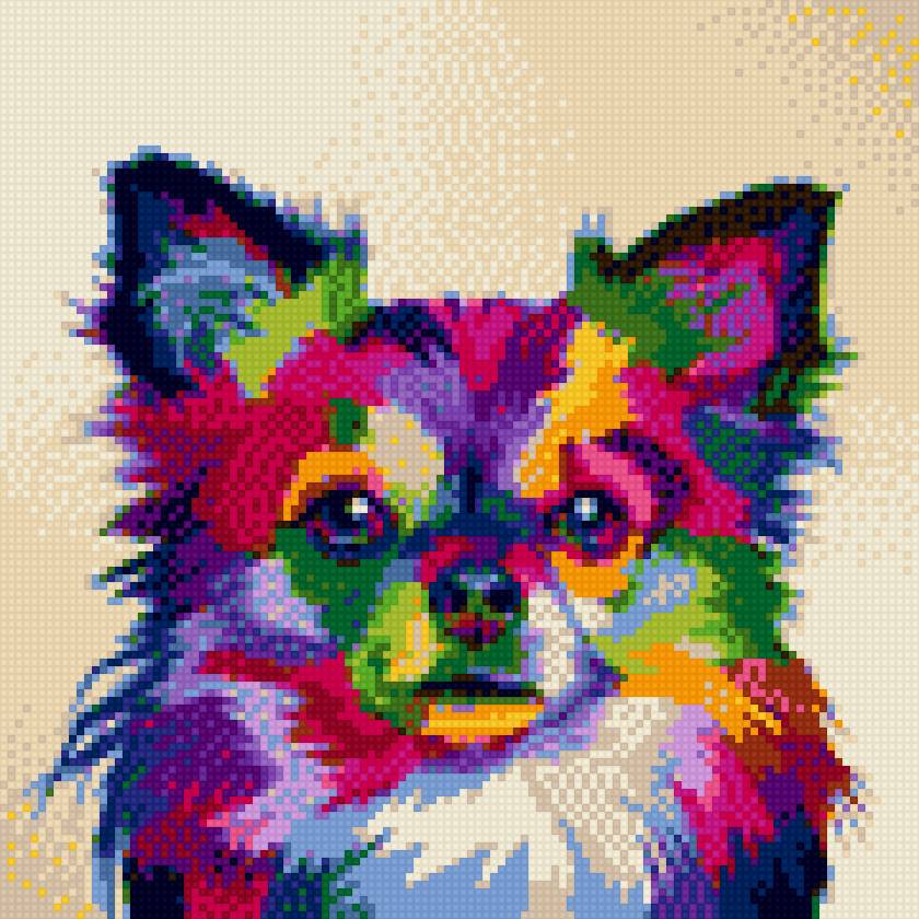 PERRO ARCO IRIS - предпросмотр